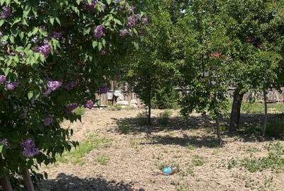 Teren intravilan Focsani - Golesti - 1