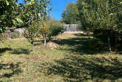 Teren 1128 intravilan + Casa batraneasca  Darmanesti Arges - 1