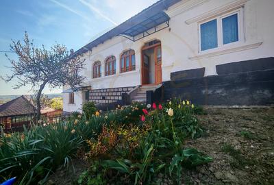 Proprietate compusă din 2 case,3 anexe,teren 3.233 m – Dârmănești, județul Argeș - 9