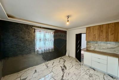 Casă / Vilă cu 8 camere - 3