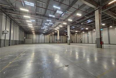 Spatii Industriale - 15000 mp - Logistica - Depozitare - Productie - 7