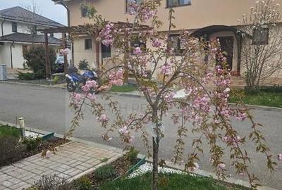 4 camere de închiriat în Complex Paladin, Corbeanca | Mobilat complet | Terasă - 9