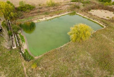 Teren 13.418 mp intravilan cu casă și 2 iazuri - 6