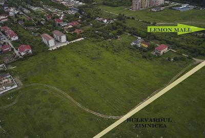 Pipera 6.000 mp ( Zimnicea ) - 1