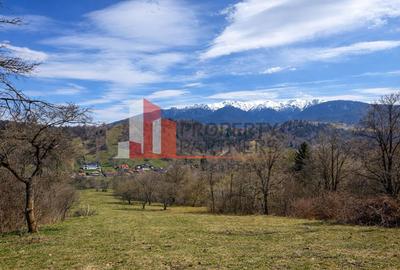 Casă autentică cu teren de 11.150 mp – Bran, Șimon | vedere Bucegi - 9