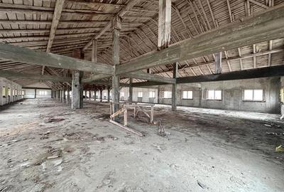Hala, spatiu comercial, vad, de la 423mp la 1744mp, Vama Albita - 7