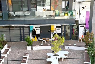 Victoriei / Petru Rareș Loft / Ap. Premium /Prima Închiriere / Parcare Opțional - 24