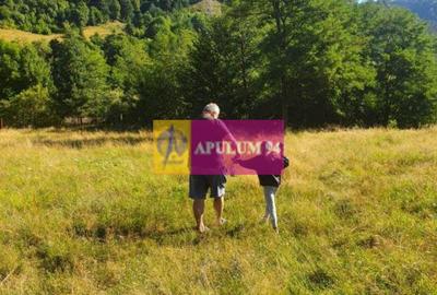 Teren Județul Vâlcea - Brezoi, Valea lui Stan - 37