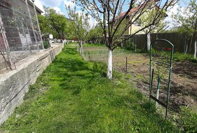 Casa moderna, foarte spatioasa, cu  1500 mp teren, în  Dambul Rotund - 30