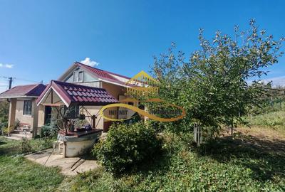 Casă individuală cu 4 camere în Grigoreni