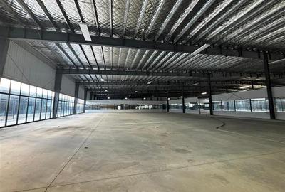 Inchiriere depozit/hala/spatiu industrial/showroom Afumati - DN2 - Dorally, Ilfo - 3