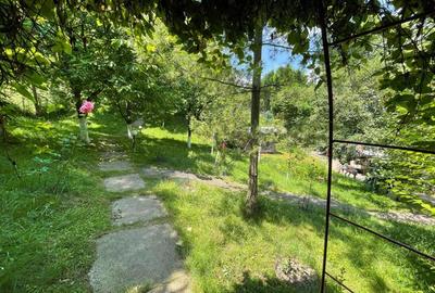 Vila 5 camere | Teren 3155 mp | Breaza - Comarnic | Gura Beliei - 7