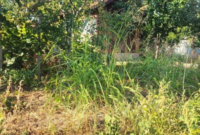 TEREN 510 MP ZONA PALAZU MARE - 11
