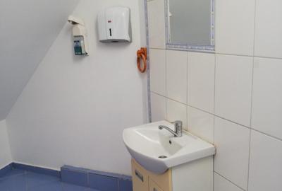 Inchiriere spatiu de birouri intr-o vila interbelica de pe Bulevardul Dacia, - 12