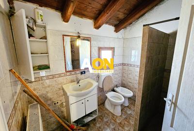 1/2 Duplex, 4 camere, 300 mp teren, toate utilitatile, Cetate - 8