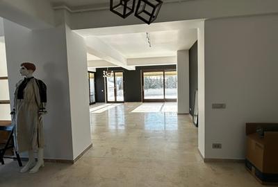 Penthouse Luminos cu Terasa în Inima Cartierului Icoanei, Centru - 5