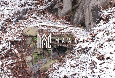 Teren Construcții intravilan de 20000 mp, în Dângești