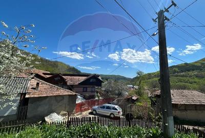 Casa bunicilor, cu gradina, Lera, Buzau! - 11