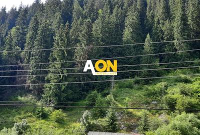Pensiune in Muntii Apuseni 10 camere 1007 mp teren - 17