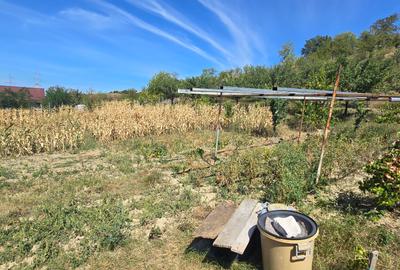 Teren intravilan in Manolesti Deal - 3