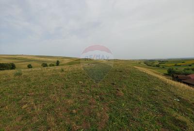 Teren parțial intravilan-300000mp Stroiești-Trei Movile, Suceava - 25