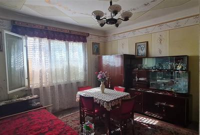 Casa de inchiriat pe calea Radnei - strada principala - 12