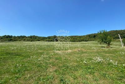 Teren 11.000 mp-ideal cabana/ferma-Unirea-Valea Slatinitei - 7
