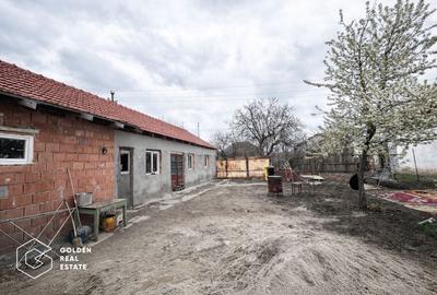 Casa cu 3 camere in Sinicolau Mic, teren 400 mp - 9