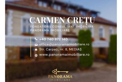 Pensiune rustică in Transilvania de vânzare în centrul comunei Saschiz - 27