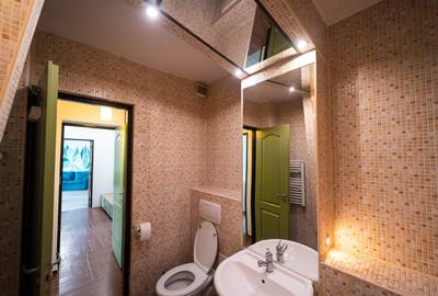 Calea Calarasilor Hyperion, stradal, mobilat, complet renovat, BOXA, AC, STB - 18