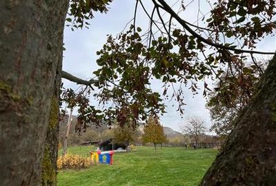 Transilvania Camping, domeniu de 14.400mp,Sanmarghita de Mures:2cladiri, apartam - 50