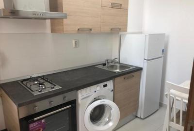 Garsoniera Grozavesti  orhideelor 14 - 3