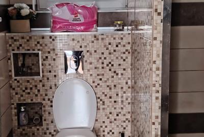 VILĂ DE LUX P+1+M | TÂRGOVIȘTE – STR. GIMNAZIULUI | FINISAJE ITALIENE - 12