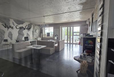 Spatiu comercial de inchiriat Podul Constanta - Chitila - Bucurestii Noi - 17