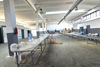 Proprietate industrială de vânzare – Târgu Jiu, Strada Ciocârlău - 3