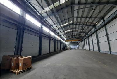 Spatiu Industrial - 700 mp - Logistica - Depozitare - Distributie - 7