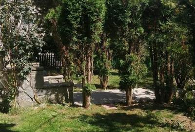 Oportunitate de investitie | Vila superba de vanzare| Ultra-Central Sinaia| - 17