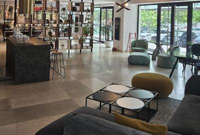 REC3001258 Spatiu Comercial High End I Matei Basarab - 5