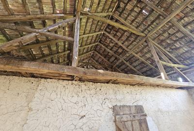 Casa la tara cu 3 camere + teren intravilan Sup 962 mp, Colesti, Bihor - 15