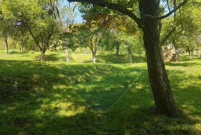 1.72 ha TEREN DE VANZARE - Seini - 1