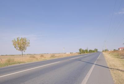 5,7 Ha. vav de Dovinot - Mihailesti, teren intravilan cu deschidere la DN6 - 13