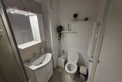 Garsonieră spațioasă de inchiriat , complet utilată, Bld. Timișoara - 8
