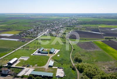 Black Angus Farm with authorized Slaughterhouse - 7