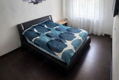 Apartament de vânzare 3 camere 57mpu mobilat parter Ampoi 3 Alba Iulia - 3