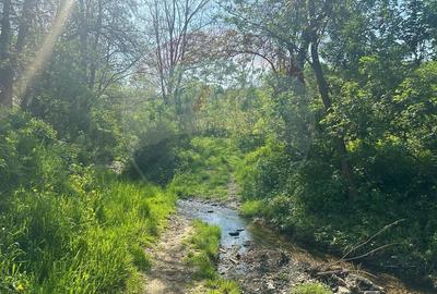 Teren Construcții intravilan de 1000 mp, în Măgura