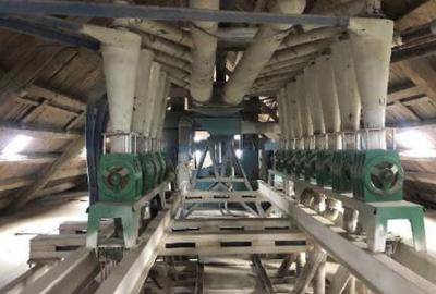 Moară cereale 50 t/zi + afacere funcțională | teren + hale | Bihor - 5