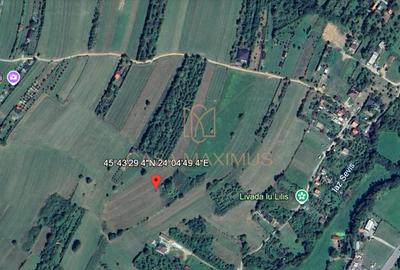 Teren intravilan 6.600 mp Tropinii Noi Rășinari –70 €/mp – PRIVELIȘTE PANORAMICĂ - 3