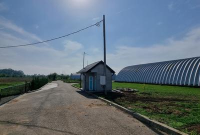 Industrial PARK for Sale – 4 Warehouses with Land, Near Bucharest (INTRAVILAN) - 5