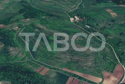 Teren agricol extravilan de 10000 mp, în Gușterița