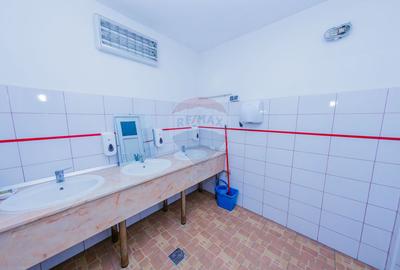 Hala de productie/depozitare DE INCHIRIAT- in Cavnic - 8